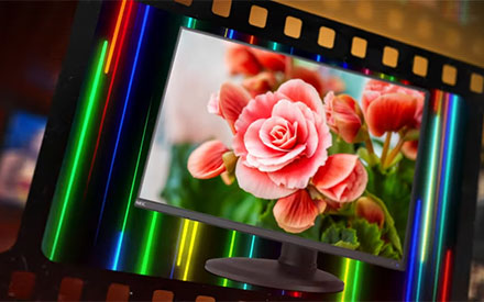 Videos