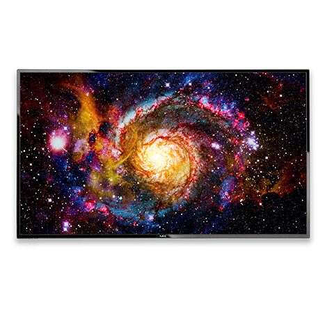 E507Q