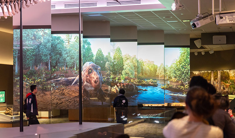 fieldmuseum-casestudy