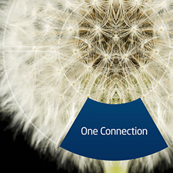 One Connection Image