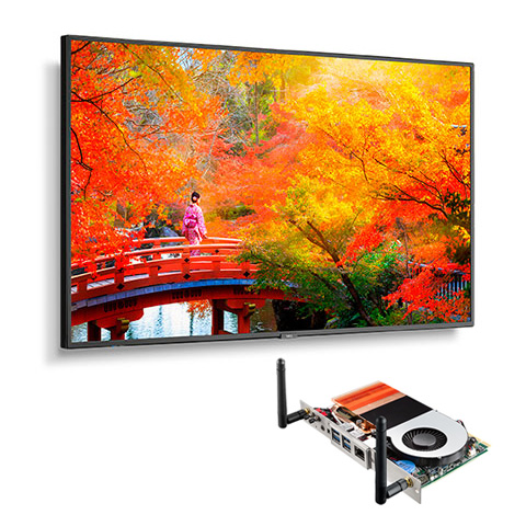 MA491-PC5