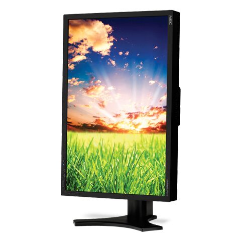 P221W-BK_LTPORT.jpg