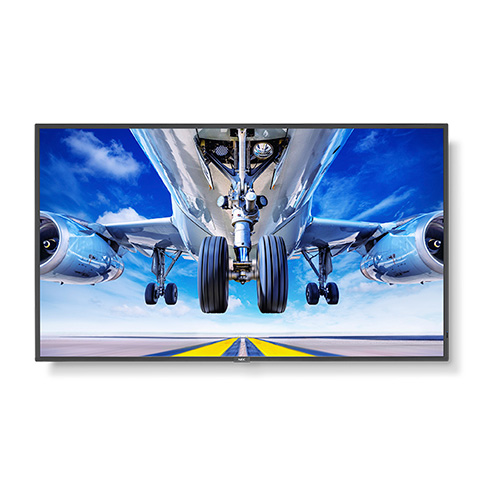 P435 Head on