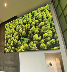 Delivering Stunning Visuals to an Elegantly Modern Commerce Building